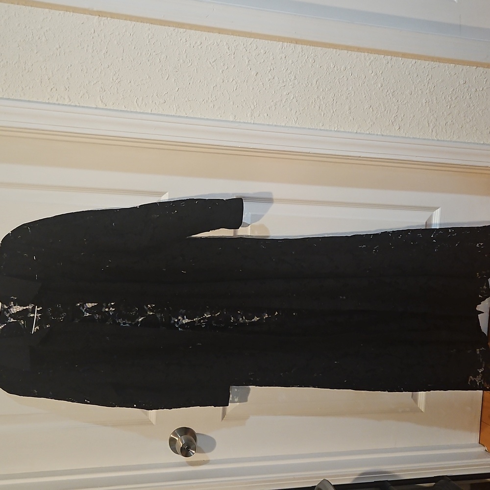 Zara Black lace button down maxi dress